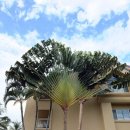 나우농장 이미지