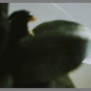 둔산동 치과 추천 직접 방문 후기와 추천 포인트