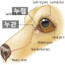 아인스동물병원 이미지