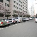 상아공인중개사사무소 이미지