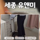 유앤미 | 세종 다이어트｜누워서 체지방 감량 가능한 유앤미 후기