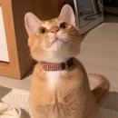 선경동물병원 이미지