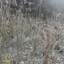 김수복농장 이미지