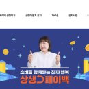 페이백 노컷뉴스