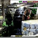 한국 야생화시리즈(여름꽃)406 이미지