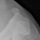 문산 동물병원 이미지