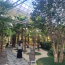 왕궁포레스트 이미지