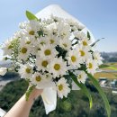 혜유화 네이버블로그