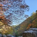 지리산덕천강마을 이미지