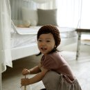 폴스베이비 네이버블로그