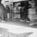 빛 살 -울림 이미지