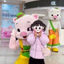 베리어프리 뮤지컬 친절한 돼지씨 이미지