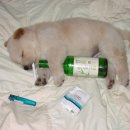 웃으면복이와요 이미지