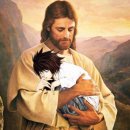 은혜정육점 | 센트럴씨 이리 나와봐유