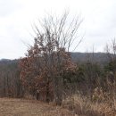 녹색마을길 이미지