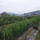 산너머농장 이미지