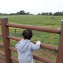 페퍼민트민박 이미지