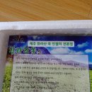 참쑥 낙원떡방 | 쑥인절미/한라산쑥/인절미/쑥떡/낙원떡집쑥떡/낙원떡집쑥인절미/행복떡방쑥떡/한라산쑥인절미/제주...