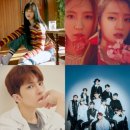 데일리엠카 이미지