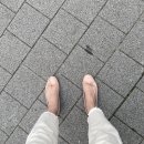 아몽드 | 내돈내산 레페토 산드리옹 아몽드 색상 후기😍 (+21S/S 세일 최저가 구매팁!!)