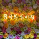들국화포차