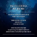 왕대박시스템 이미지