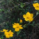 장충단공원 이미지