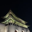 경복상회 | 경복궁 야간개장 관람 후기 (시간, 예매)