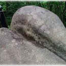 김밥스토리 이미지