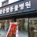 서울종합동물병원방배 이미지