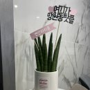 연인노래방 이미지