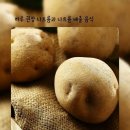 고구마랑감자랑