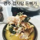 경주 고기가 토실토실한 감자탕