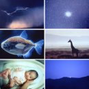 인생을 담아내는 시 창작 이미지