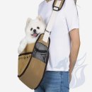 해피데이애견 이미지