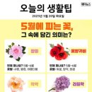 5월 20일 화요일 간추린 뉴스와 날씨 이미지