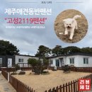 고성2119 이미지