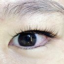 나디브 위생뷰티 대구달서 C-1호점 | 월성동 율봄래쉬 속눈썹 연장 후기