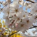 원길농장 이미지