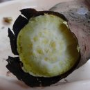 산머루펜션 이미지