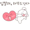 샤랄라헤어 - 익산시 모현동1가 | 샤랄라헤어
