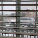 제주편백휴낭 이미지