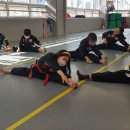 정무합기도 이미지