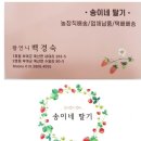 송이네농장 이미지