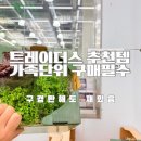 트레이더스 홀세일클럽 안성점 네이버블로그