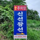 신선왕선 이미지
