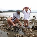 아름다운집 민박 이미지