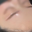 4368 | 대전 본결눈썹(헤어스트록)탈각과 리터치 과정