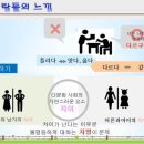 충화초등학교 이미지