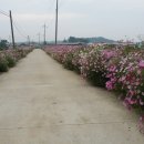 황소농장 이미지